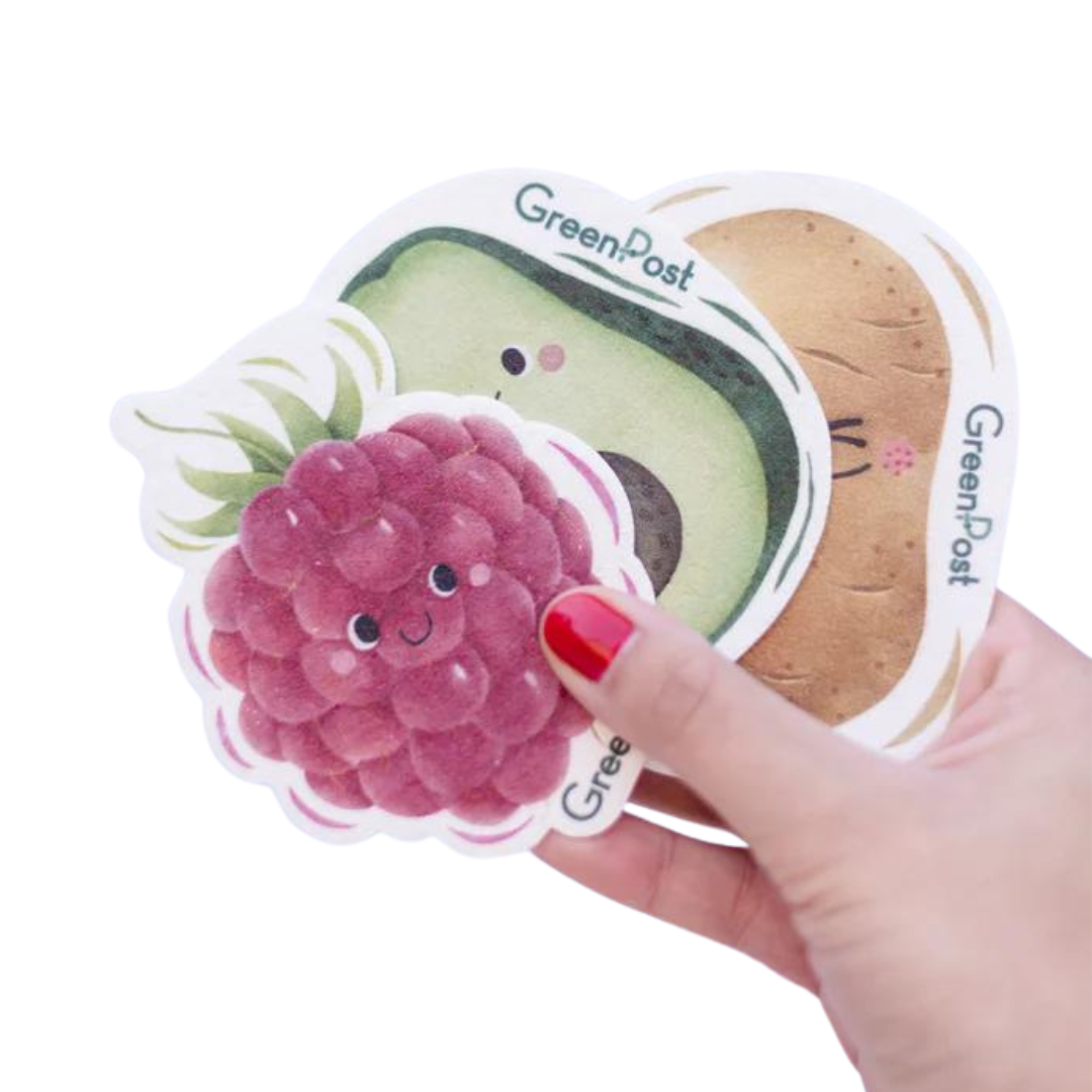 Esponja Ecológica compostable - pop up